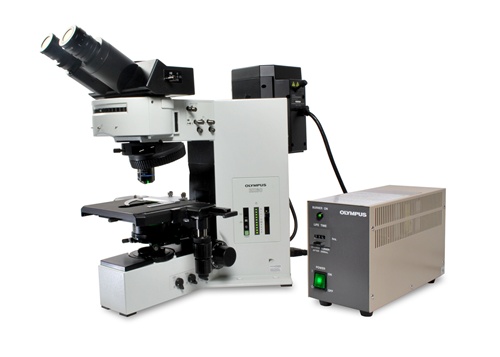 Misty strike Facet Olympus BX60 Microscope, Trinocular Brightfield / Fluorescence w/ 4  Position FL Cube Turret